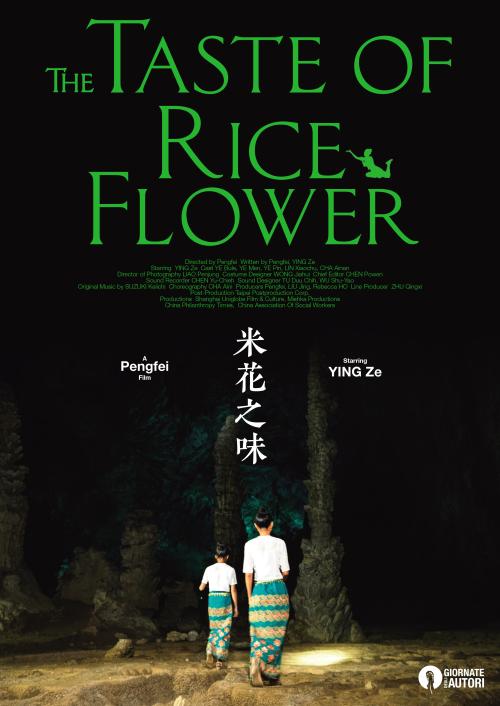 制作马利斯特学院文凭毕业证